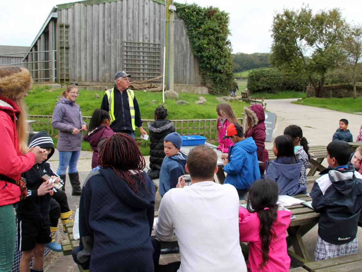 Isle Of Wight Donkey Sanctuary picture gallery